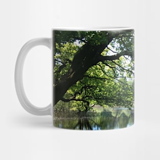 Tree branches hanging over a pond Mug